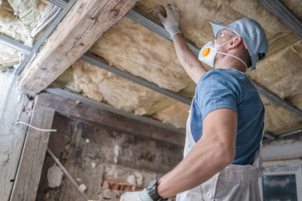Types of Insulation We Offer in Enterprise, AL